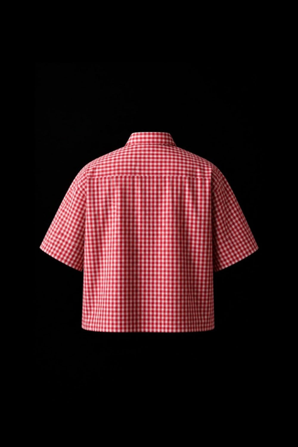 Red Gingham Oxford Boxy Shirt